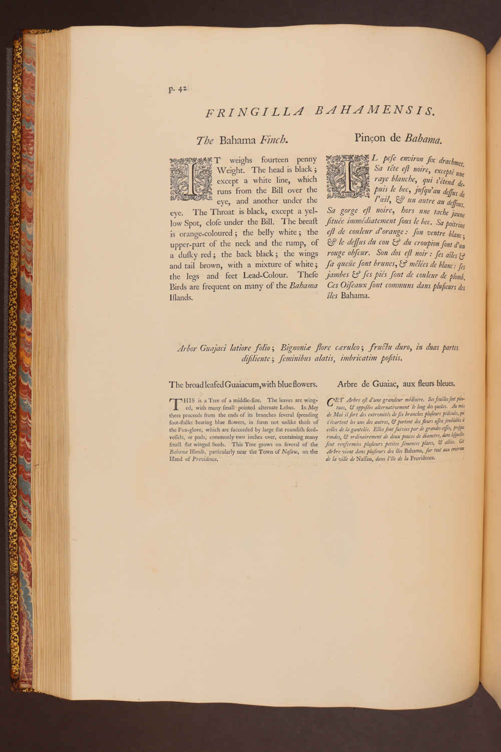 Page 42